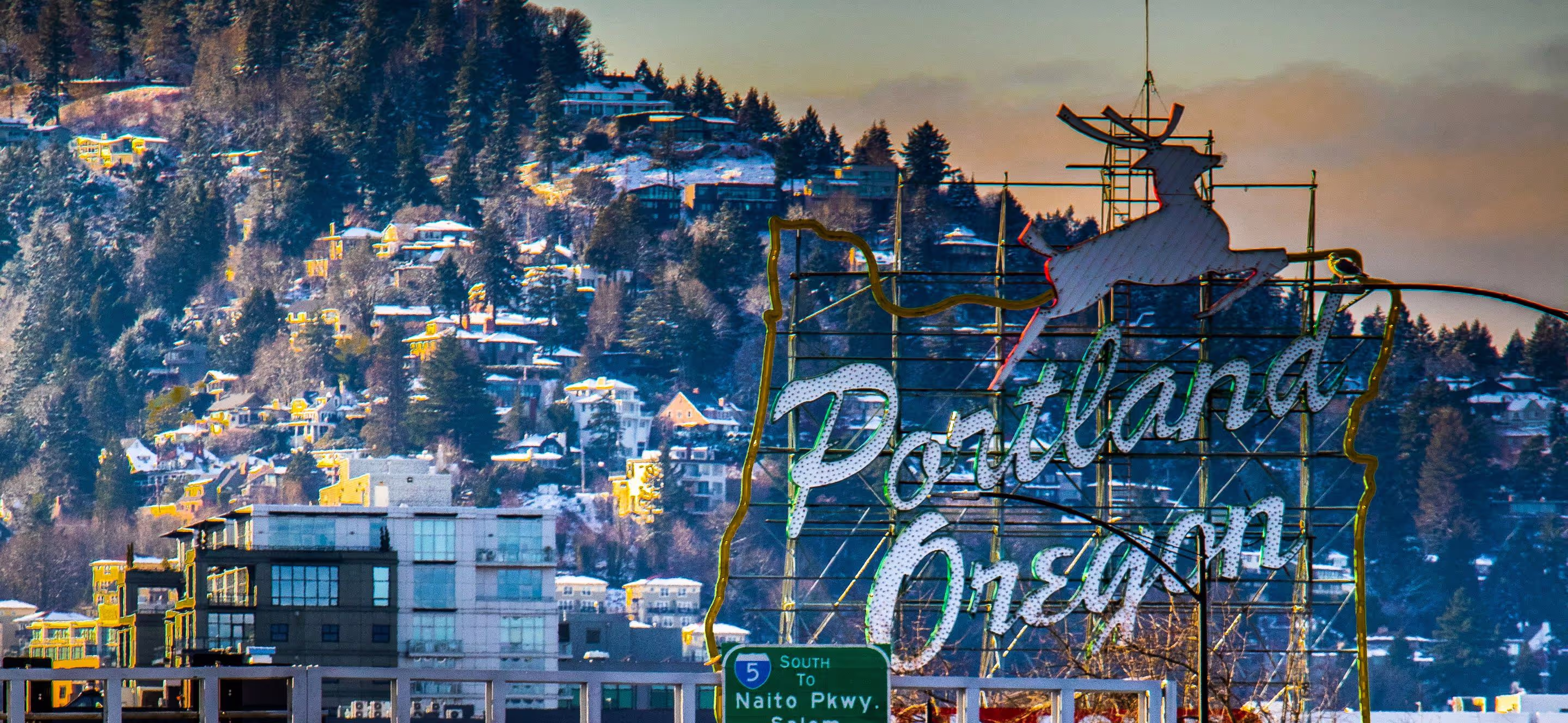 Specialty coffee in Portland, OR