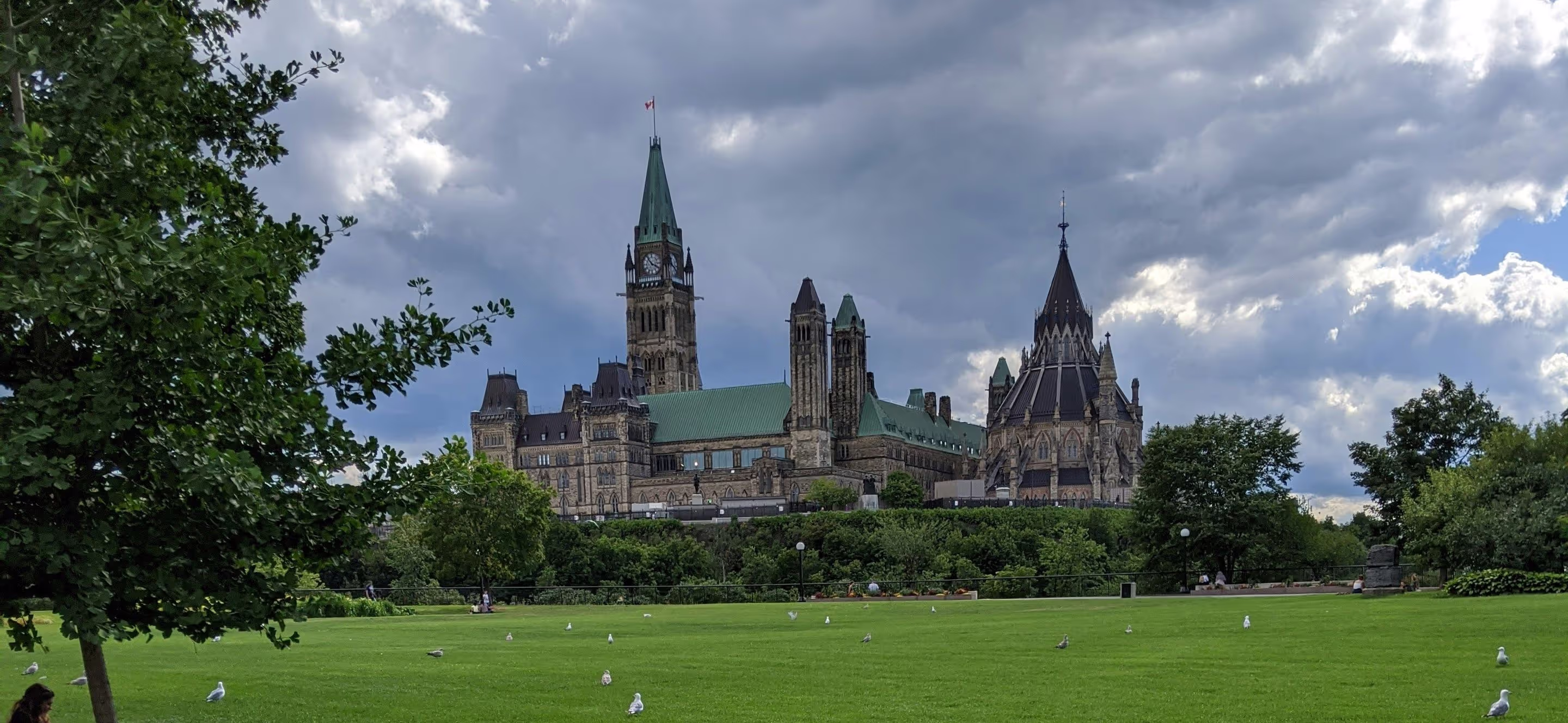 Specialty coffee in Ottawa
