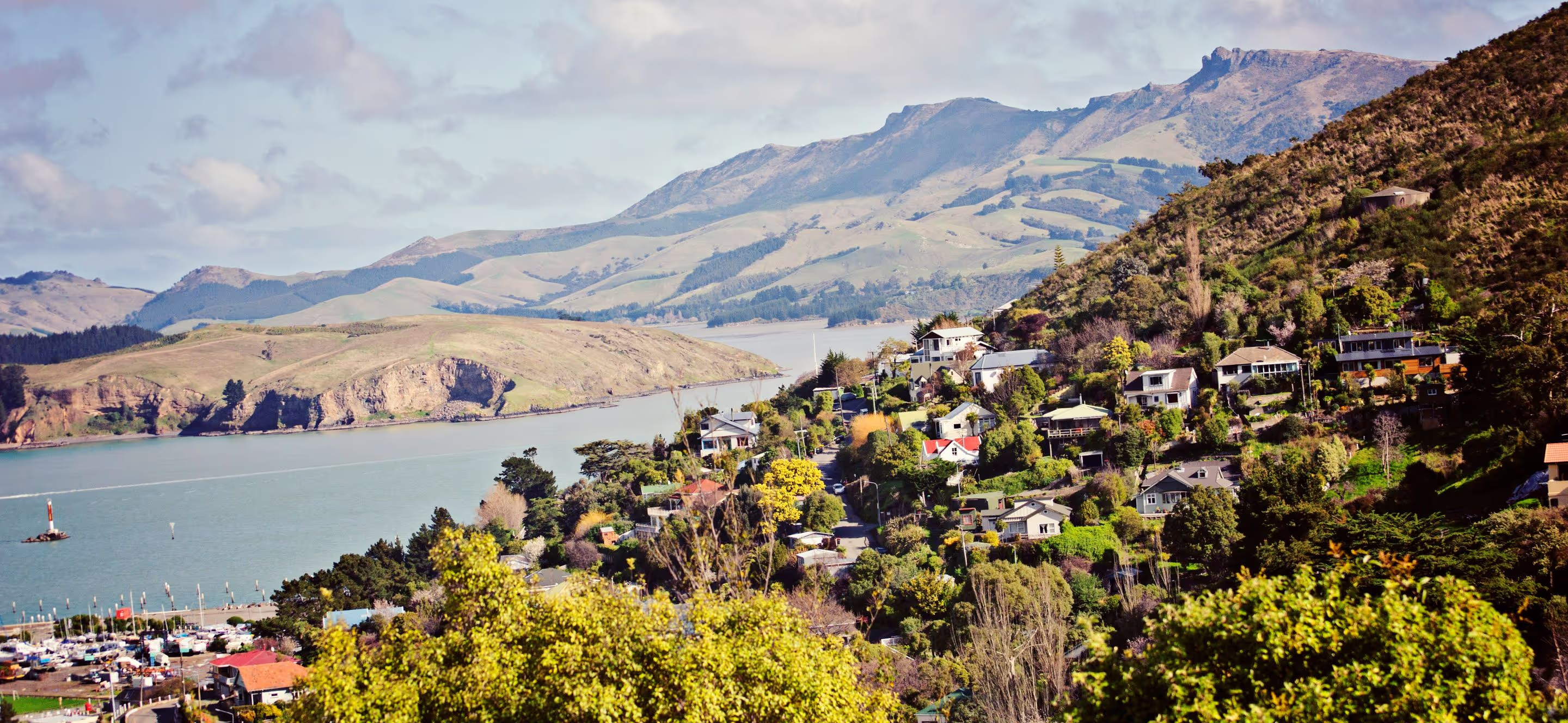 Specialty coffee in Christchurch