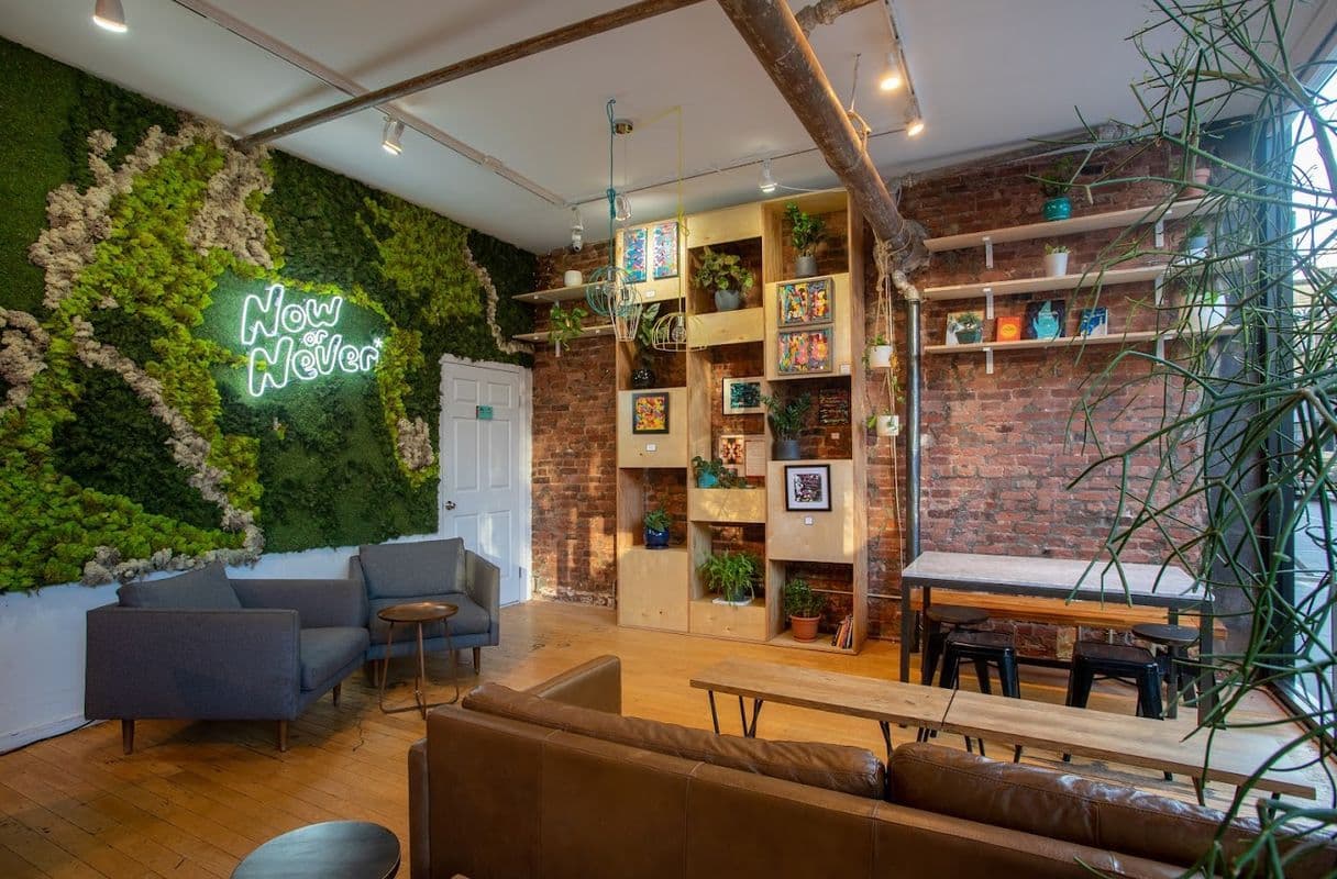 Now or Never Coffee — specialty coffee shop in New York, NY