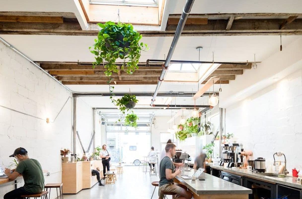SEY Coffee — coffee roaster in New York, NY