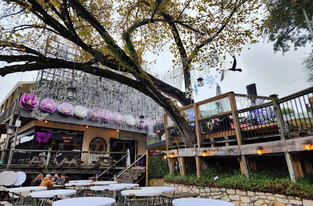 Mozart's Coffee Roasters — specialty coffee shop in Austin, TX