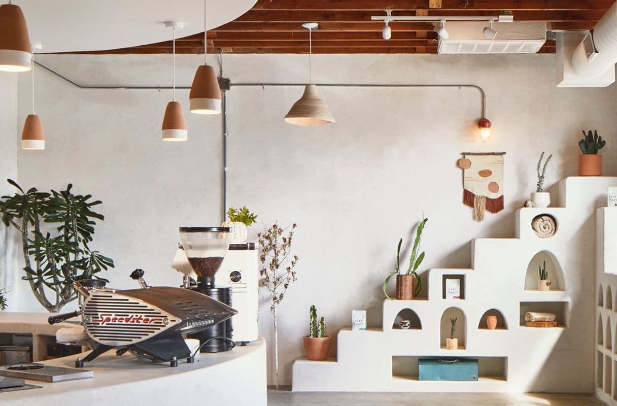Palomino Coffee — specialty coffee shop in Austin, TX