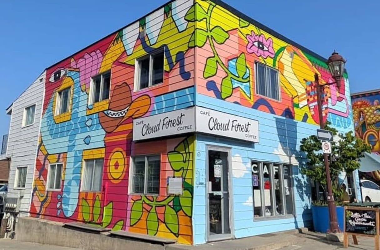 Café Cloudforest — specialty coffee shop in Ottawa