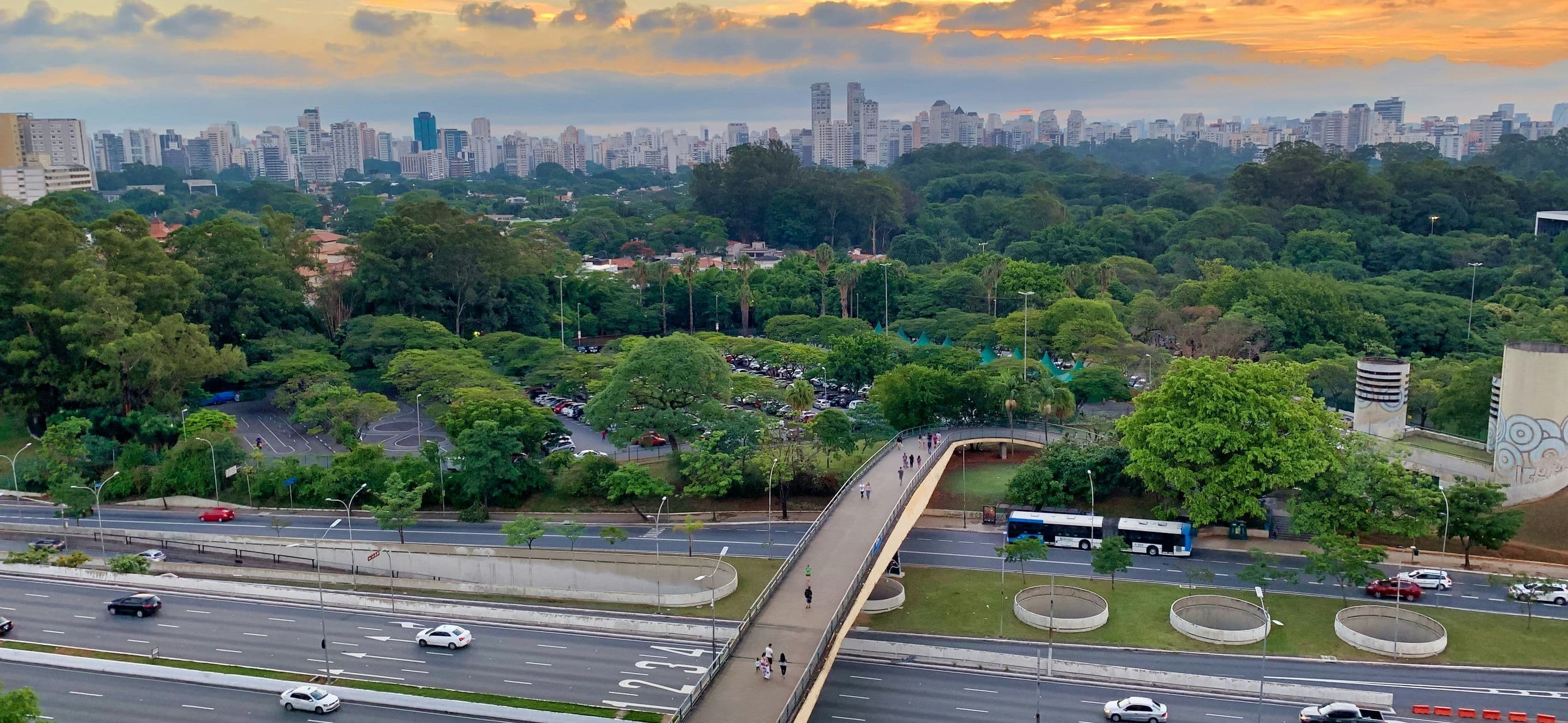 Specialty coffee in Sao Paulo