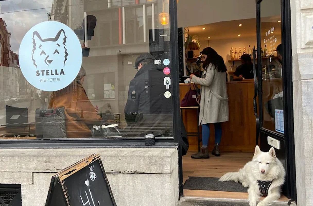 Stella Specialty Coffee Bar — specialty coffee shop in Brussels